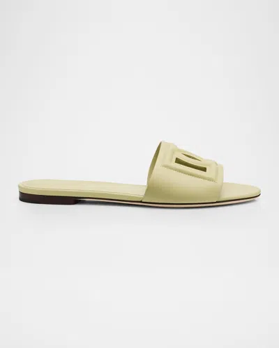 Dolce & Gabbana Cutout Dg Flat Slide Sandals In Salva