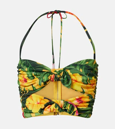 Dolce & Gabbana Cutout Floral Halterneck Crop Top In Multi