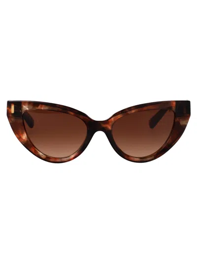 Dolce & Gabbana Dark Red Havana Acetate Sunglasses In Brown