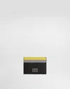 Dolce & Gabbana Dauphine Card Holder In Multicolor