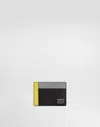 Dolce & Gabbana Dauphine Card Holder In Multicolor
