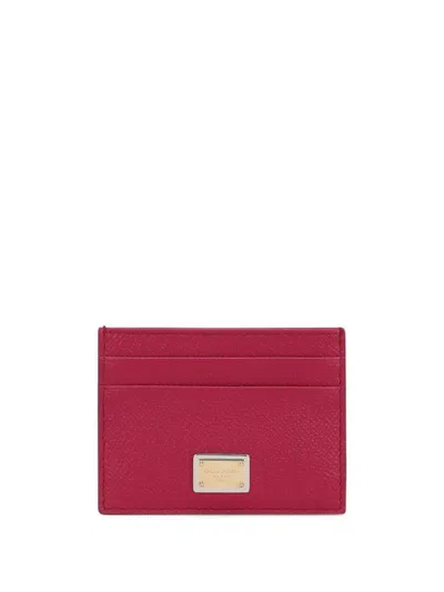 Dolce & Gabbana Dauphine Card Holder With Logo Plaque In Pink & Purple