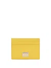 Dolce & Gabbana Dauphine Logo-plaque Cardholder In 80228
