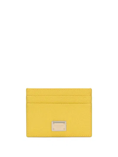 Dolce & Gabbana Dauphine Logo-plaque Cardholder In 80228