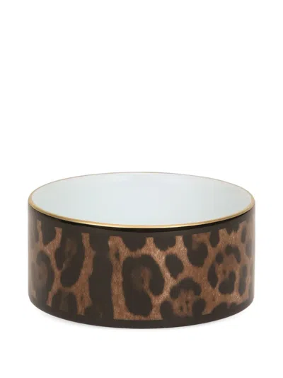 Dolce & Gabbana Decorated Leopard-print Box In Brown