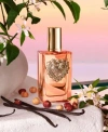 Dolce & Gabbana Dolce Gabbana Devotion Eau De Parfum Intense Fragrance Collection In No Color