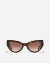 Dolce & Gabbana Devotion Sunglasses In Brown