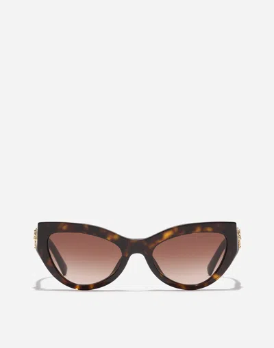 Dolce & Gabbana Devotion Sunglasses In Brown