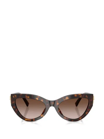 Dolce & Gabbana Devotion Sunglasses In Brown