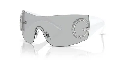 Pre-owned Dolce & Gabbana Dg 2298b Light Grey/light Grey (06/87) Sunglasses In Gray