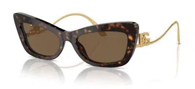 Pre-owned Dolce & Gabbana Dg 4467b Havana/brown 55/18/145 Women Sunglasses