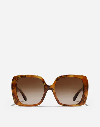 DOLCE & GABBANA DG ALLURE SUNGLASSES