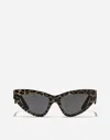 Dolce & Gabbana Dg Crossed Sunglasses In Brown