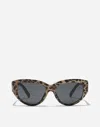 Dolce & Gabbana Dg Crossed Sunglasses In Multi