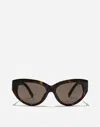 Dolce & Gabbana Dg Crossed Sunglasses In Brown