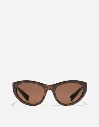 Dolce & Gabbana Dg Crossed Sunglasses In Brown