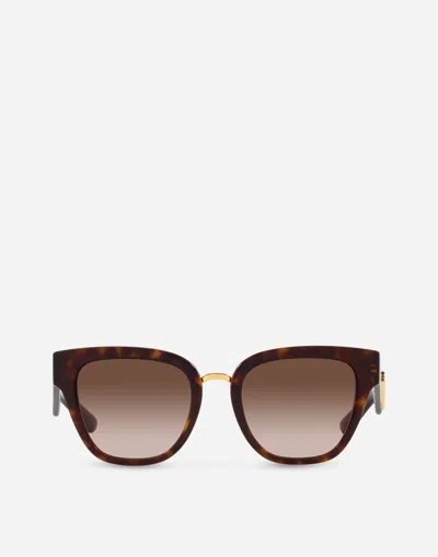 Dolce & Gabbana Dg Crossed Sunglasses In Havana