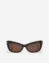 Dolce & Gabbana Cat-eye Frame Sunglasses In Brown