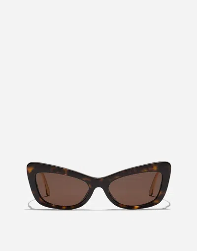 Dolce & Gabbana Dg Crystal Sunglasses In Brown