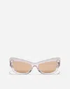 Dolce & Gabbana Dg Logo Acetate & Plastic Cat-eye Sunglasses In Transparent Rose