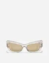 Dolce & Gabbana Dg Crystal Sunglasses In Transparent Camel