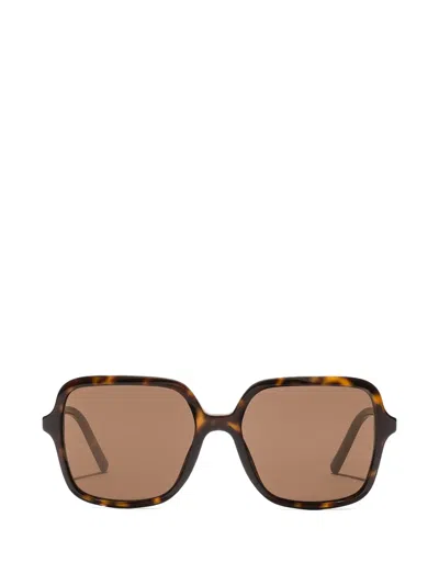 Dolce & Gabbana Dg Everyday Sunglasses In Brown
