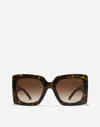 Dolce & Gabbana Dg Filigrana Sunglasses In Brown