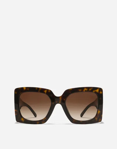 Dolce & Gabbana Dg Filigrana Sunglasses In Brown