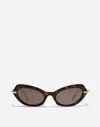 Dolce & Gabbana Dg Flip Sunglasses In Havana