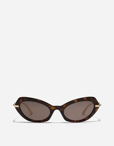 Dolce & Gabbana Dg Flip Sunglasses In Havana