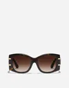 Dolce & Gabbana Dg Griffe Sunglasses In Havana