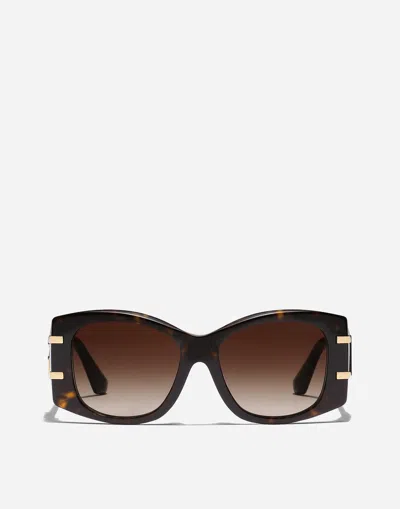 Dolce & Gabbana Dg Griffe Sunglasses In Havana
