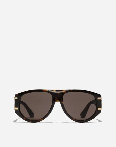 Dolce & Gabbana Dg Griffe Sunglasses In Havana