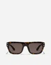 Dolce & Gabbana Dg Griffe Sunglasses In Havana