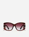 Dolce & Gabbana Dg Griffe Sunglasses In Red Havana
