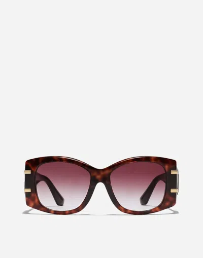 Dolce & Gabbana Dg Griffe Sunglasses In Red Havana