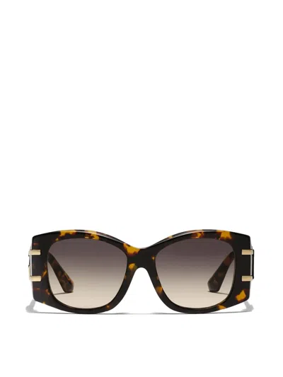 DOLCE & GABBANA DG GRIFFE SUNGLASSES