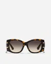 Dolce & Gabbana Dg Griffe Sunglasses In Yellow Havana