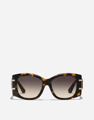 Dolce & Gabbana Dg Griffe Sunglasses In Yellow Havana