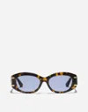 Dolce & Gabbana Dg Griffe Sunglasses In Yellow Havana
