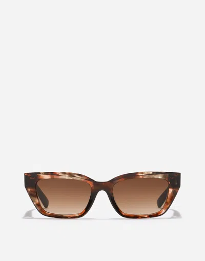 Dolce & Gabbana Dg Hinge Sunglasses In Brown