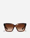 Dolce & Gabbana Dg Hinge Sunglasses In Dark Red Havana