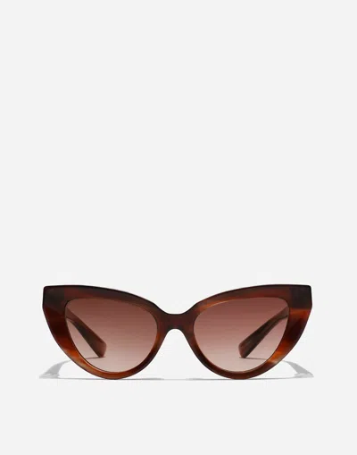 Dolce & Gabbana Dg Hinge Sunglasses In Striped Brown