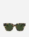 Dolce & Gabbana Corallo Sunglasses In Yellow Havana
