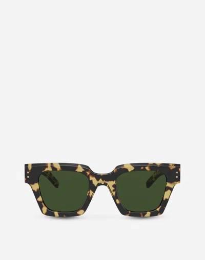 Dolce & Gabbana Corallo Sunglasses In Yellow Havana
