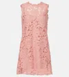 Dolce & Gabbana Dg Lace Minidress In Pink