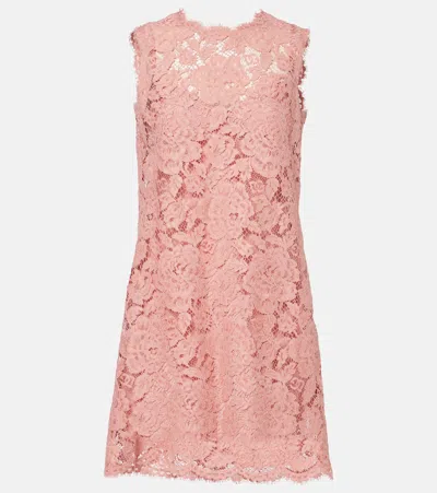 Dolce & Gabbana Dg Lace Minidress In Pink
