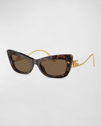 Dolce & Gabbana Dg Logo Acetate & Plastic Cat-eye Sunglasses In Havana