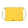 Dolce & Gabbana Dg Logo Bag Crossbody Bag In Gold