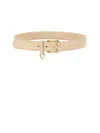 Dolce & Gabbana Dg Logo Belt In Neutral